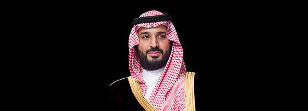 سمو ولي العهد يطلق الاستراتيجية الوطنية لاستدامة البحر الأحمر